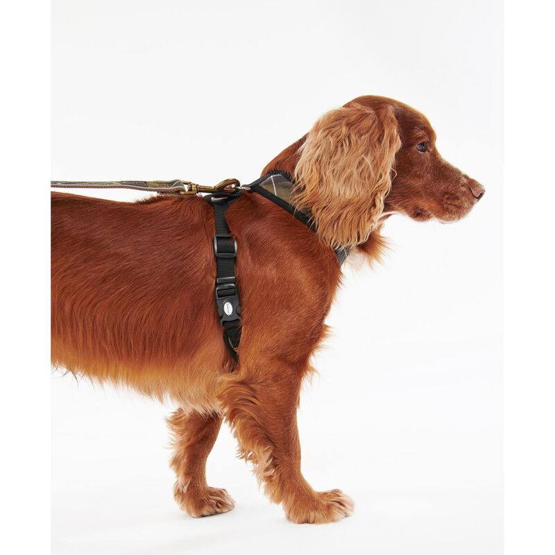 Barbour Tartan Dog Harness image number 1